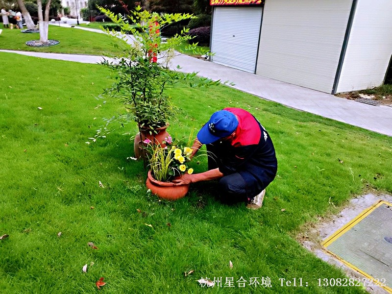 小品花境工程施工图