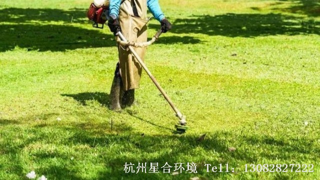 绿化养护