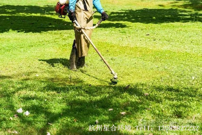 草铵膦主要登记于非耕地、木瓜园、橡胶园、茶园果园、蔬菜地等，对一年生和多年生禾本科和阔叶杂草及莎草（备注：莎草草龄小，效果要好些）等绿化养护均有有较好防除效果