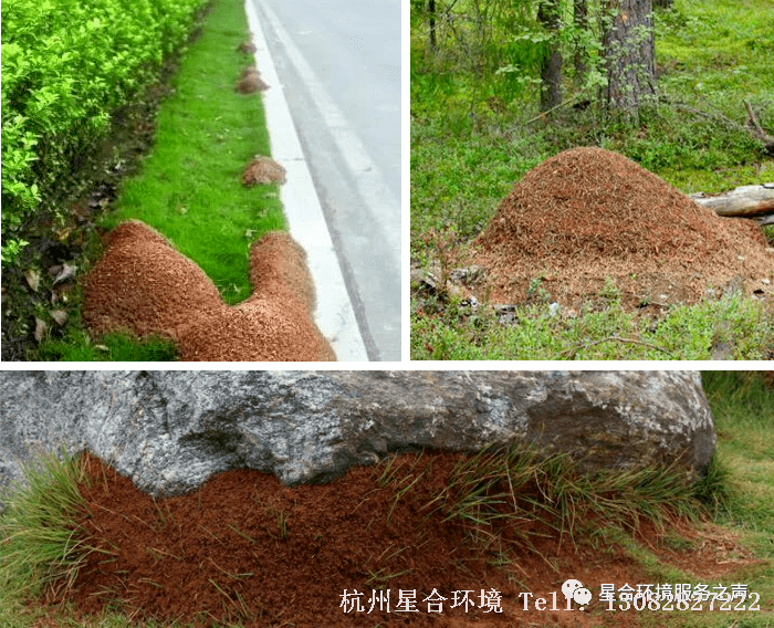 小区绿化养护