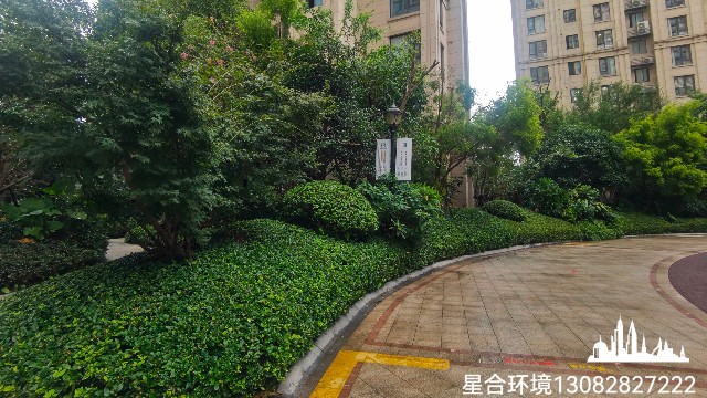 园林绿化养护中绿篱如何修剪才美观