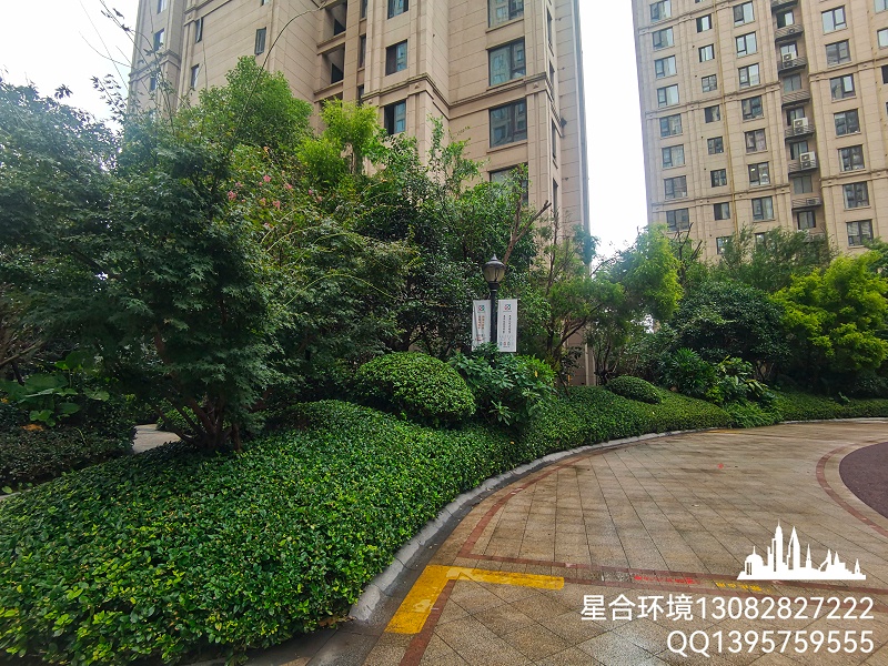 园林绿化养护中绿篱如何修剪才美观