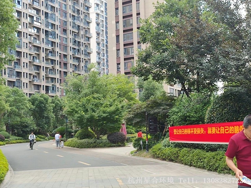绿化养护修剪后