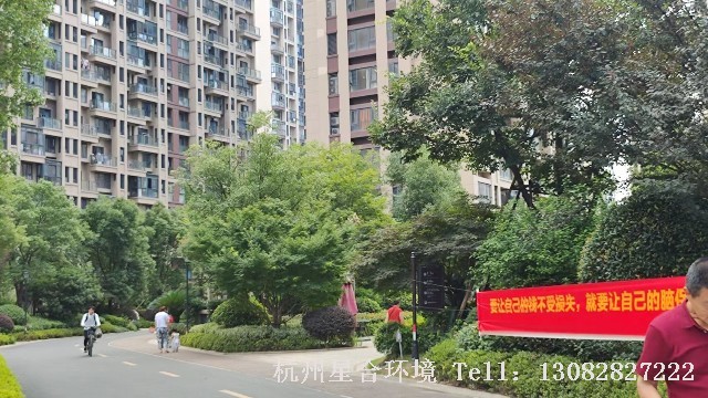 绿化养护