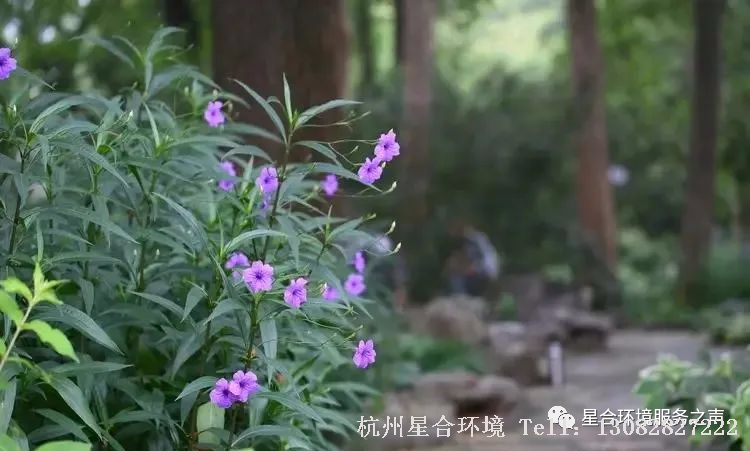 绿化施工