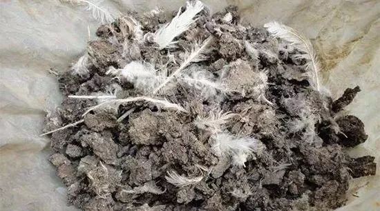 绿化养护
