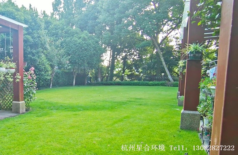 绿化养护草坪
