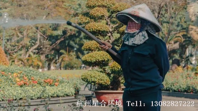 夏季打药