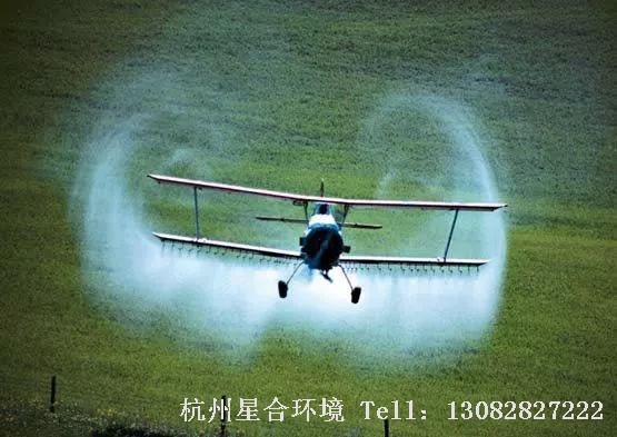 绿化养护