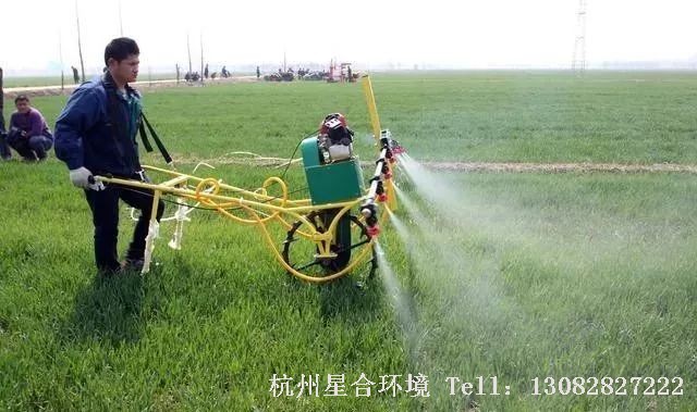 绿化养护