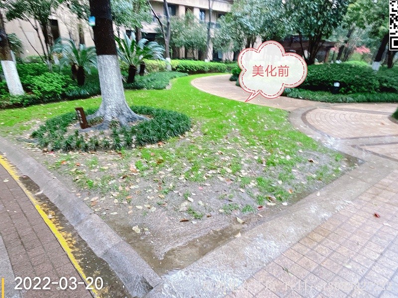 小品花境工程改造前