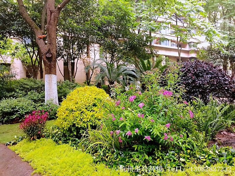 小品花境工程改造后