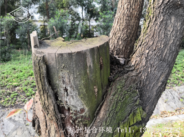 微信图片_20230207172408
