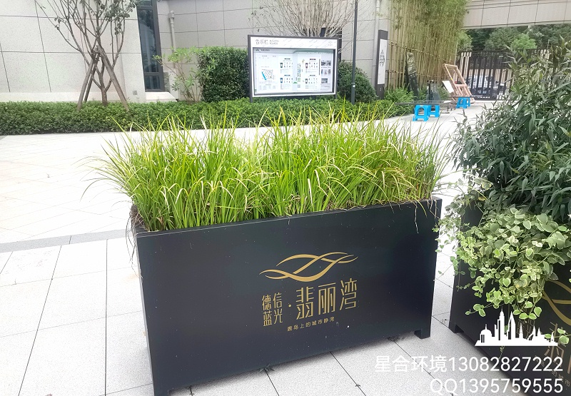 你知道适合花箱种植的植物有哪些吗