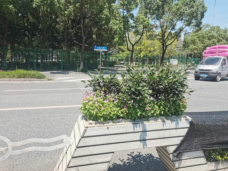 你知道适合花箱种植的植物有哪些吗