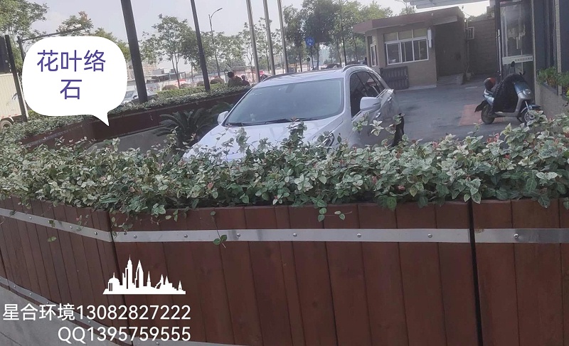 你知道适合花箱种植的植物有哪些吗