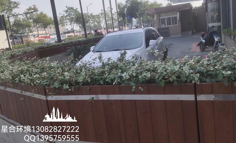 你知道适合花箱种植的植物有哪些吗