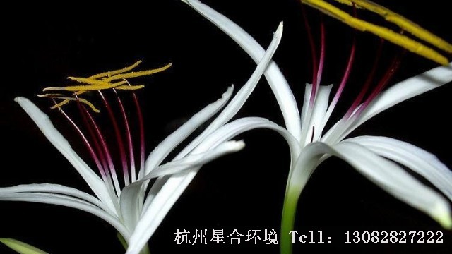 河道养护