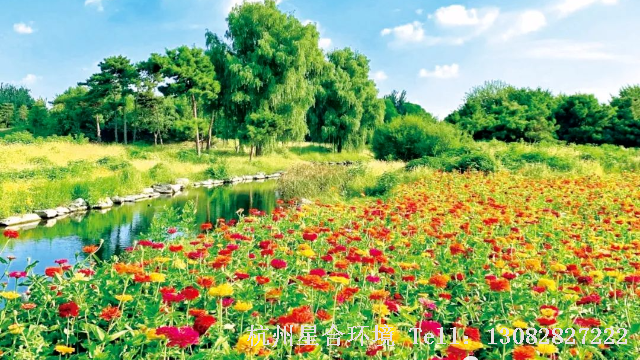 草花播种