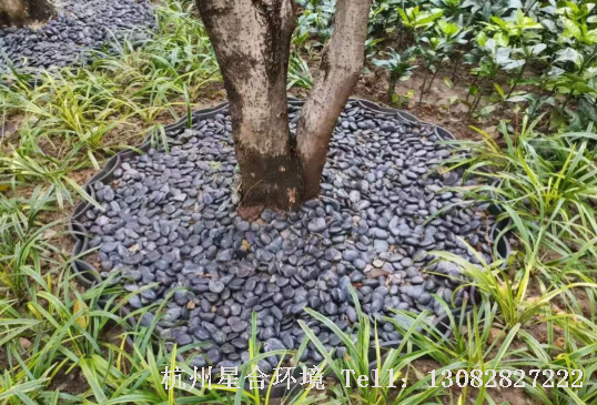园林景观-鹅卵石做树圈