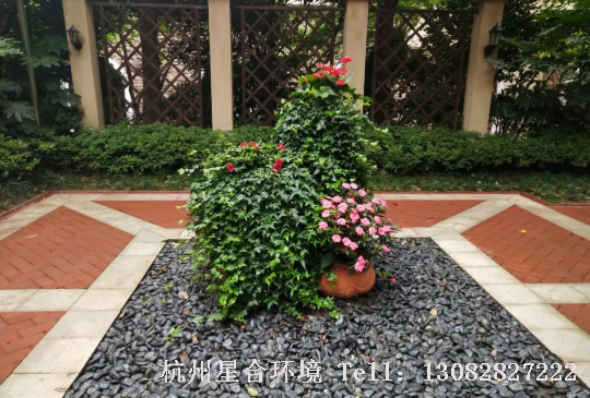 园林景观-鹅卵石做遮盖