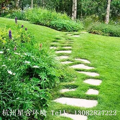 庭院施工-丝带效果