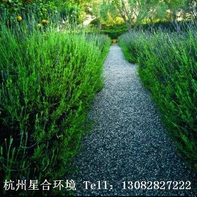 庭院施工-动静之间