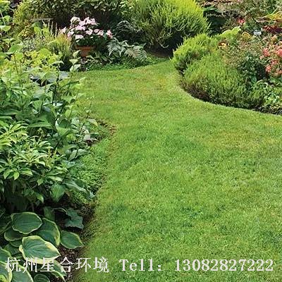 庭院施工-芳香之路