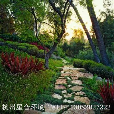庭院施工-草坪路