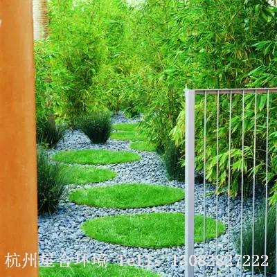 庭院施工-沙漠风情