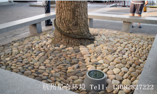 园林景观-鹅卵石做树圈