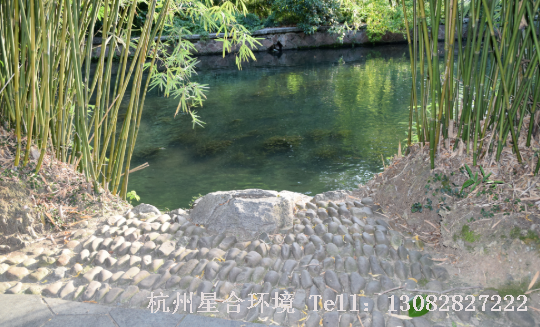 园林景观-鹅卵石铺设小路