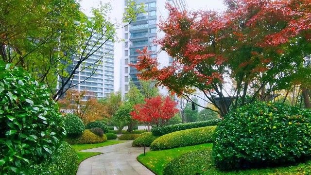 绿化养护-冬至来临杭州星合环境各项目工作正在有序进行中