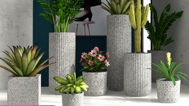 植物租摆