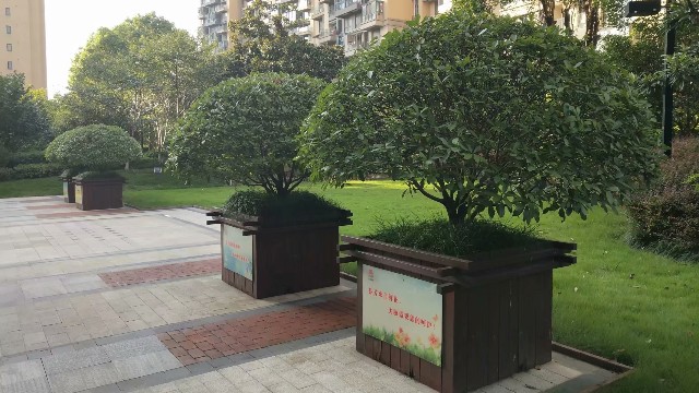 绿化养护中常见的树木支撑及注意要点有哪些?