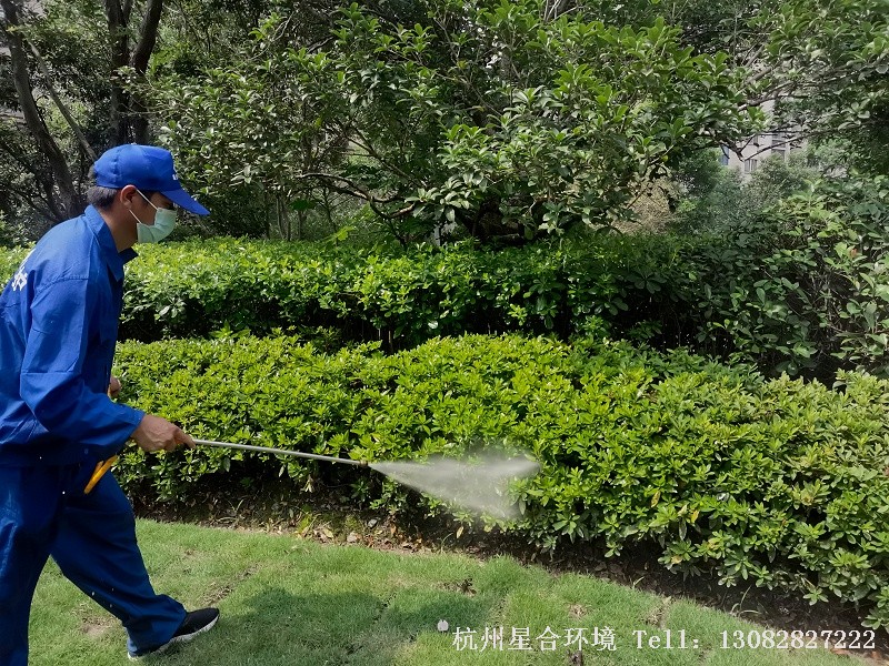 绿化养护防治虫害