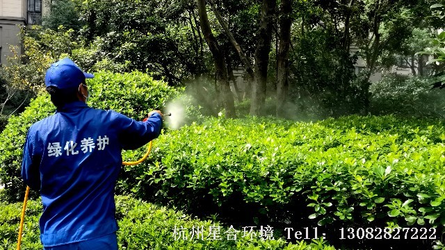 绿化养护-绿化养护中夏季植物打药技术要点