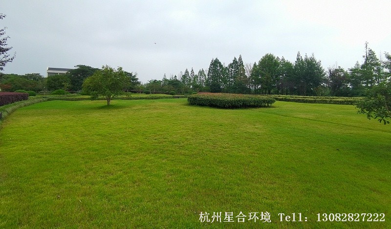 绿化养护