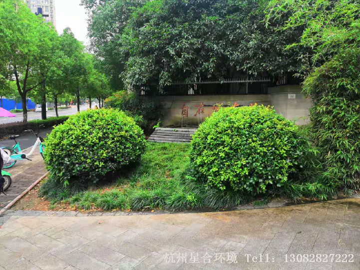 小区绿化养护花镜小品打造前概况