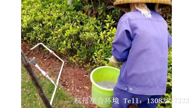 养护施肥