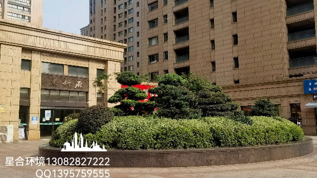绿化养护-小区绿化养护-东信府小区绿化养护