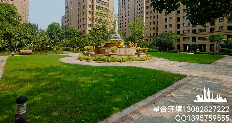 小区绿化养护中土壤的改良方法
