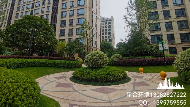 绿化养护-小区绿化养护-滨江物业万家之星小区绿化养护
