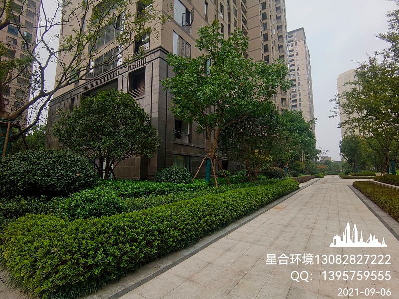 小区绿化养护草坪修剪的重要性