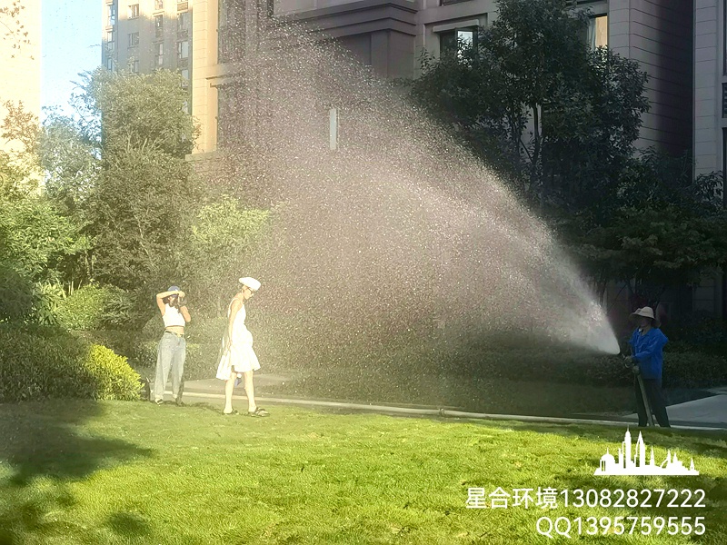 园林绿化养护冷季型草坪灌溉