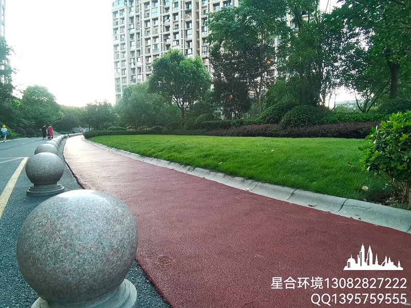 园林绿化养护冷季型草坪病菌消杀后效果