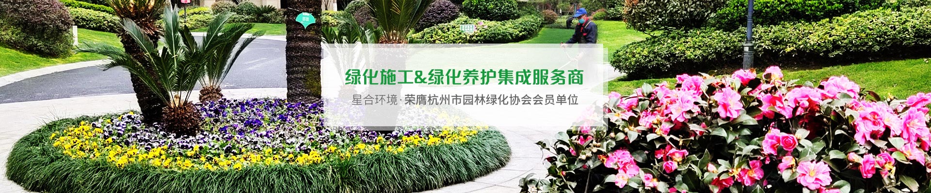 星合环境绿化工程、长效养护集成服务商