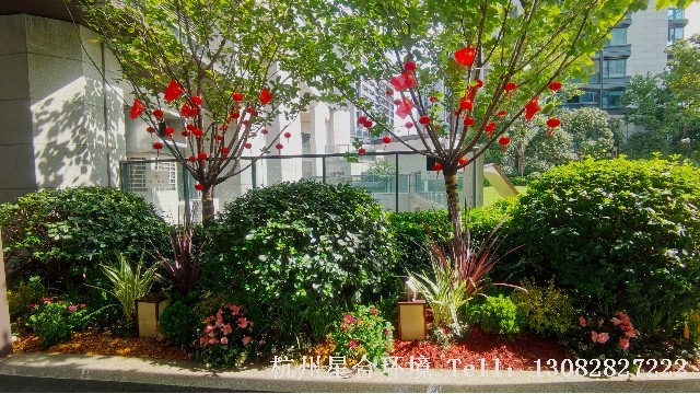 小区绿化工程-阳光城望澜府门口小景配置