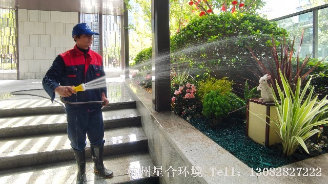 园林绿化养护秋冬季需要注意什么呢?