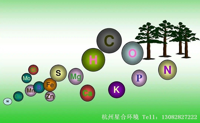 庭院养护